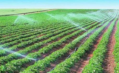 中国靠逼PP免费农田高 效节水灌溉
